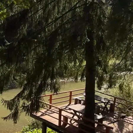 Vakantiehuis Forestside Grebenov