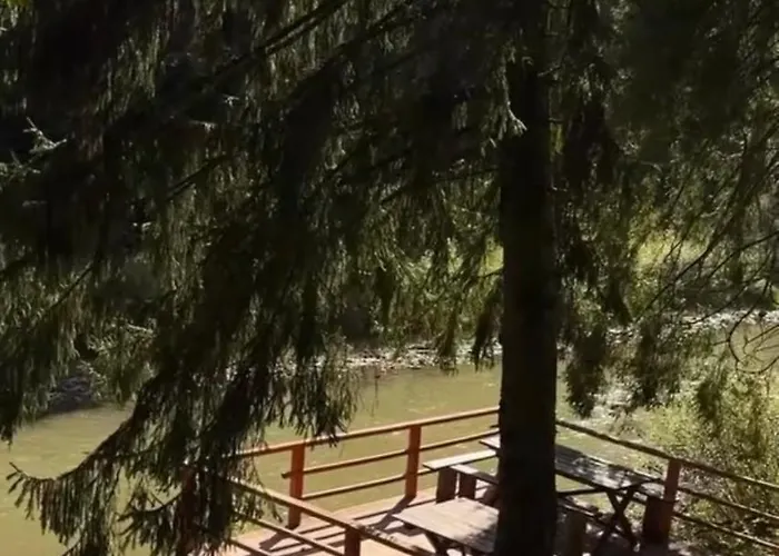 Tatil Evi Forestside Grebenov